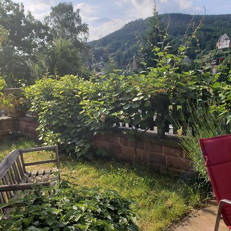 Panorama-Blick Miltenberg, 3 Pers., Zentr., Am Main, Terrasse, Bootverleih, P Экстерьер фото
