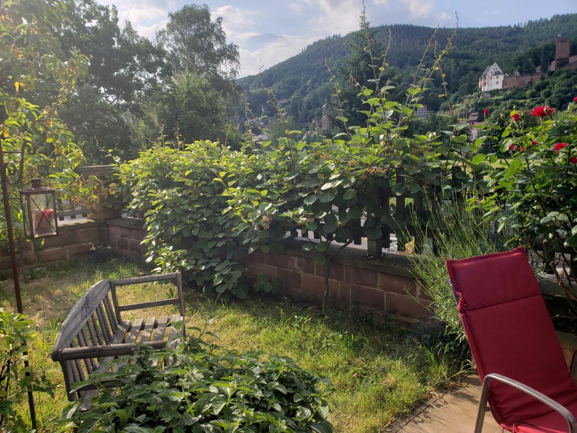 Panorama-Blick Miltenberg, 3 Pers., Zentr., Am Main, Terrasse, Bootverleih, P Экстерьер фото