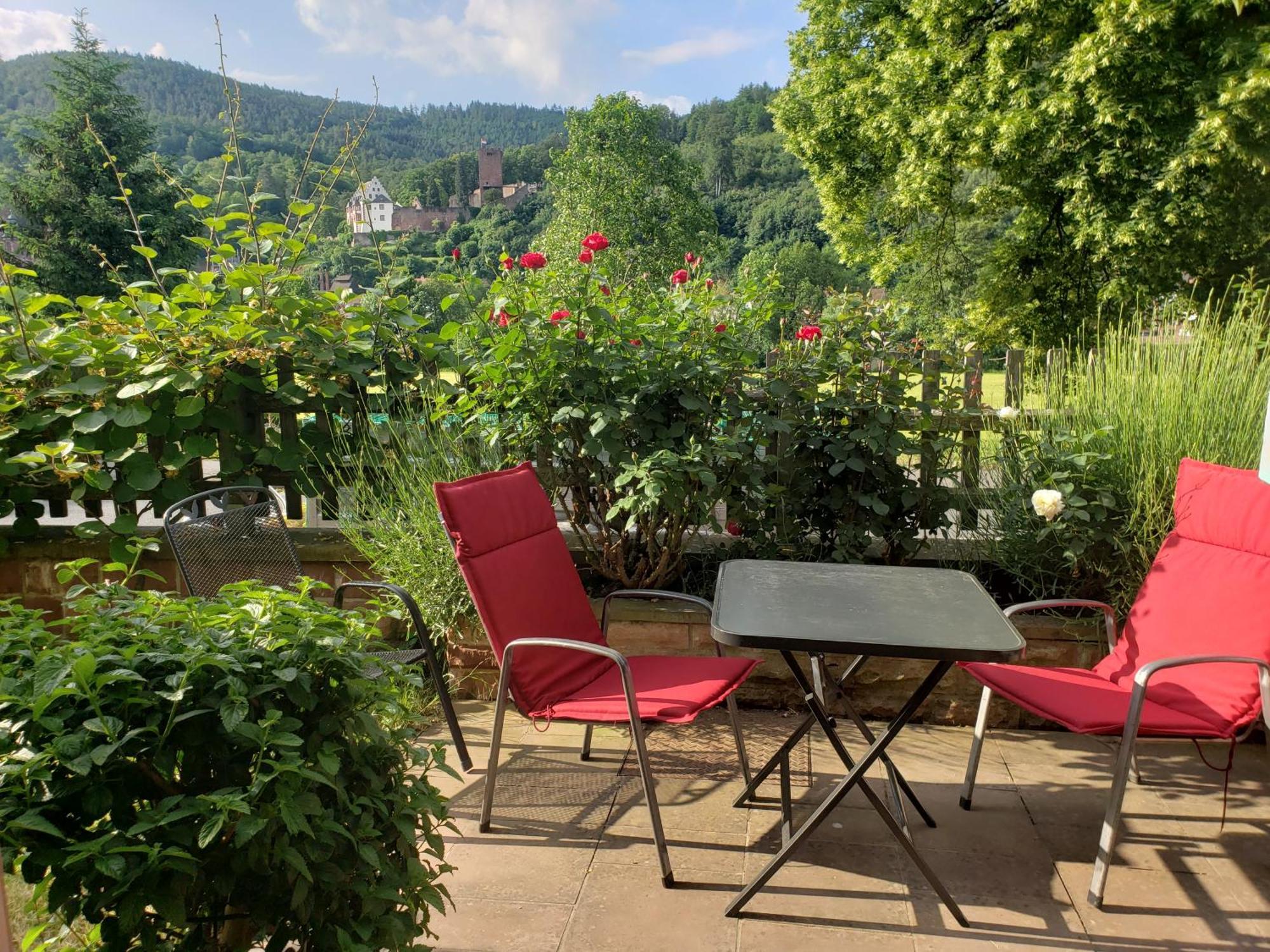 Panorama-Blick Miltenberg, 3 Pers., Zentr., Am Main, Terrasse, Bootverleih, P Экстерьер фото