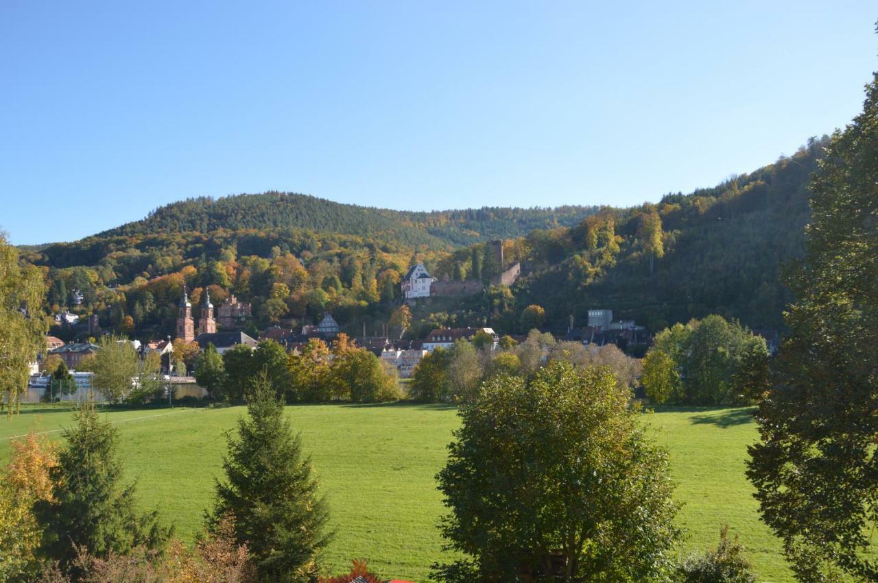 Panorama-Blick Miltenberg, 3 Pers., Zentr., Am Main, Terrasse, Bootverleih, P Экстерьер фото
