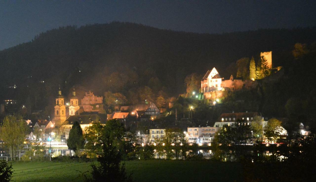 Panorama-Blick Miltenberg, 3 Pers., Zentr., Am Main, Terrasse, Bootverleih, P Экстерьер фото