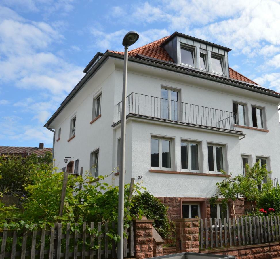 Panorama-Blick Miltenberg, 3 Pers., Zentr., Am Main, Terrasse, Bootverleih, P Экстерьер фото