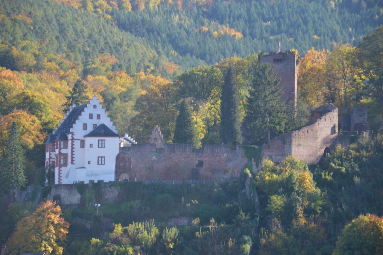 Panorama-Blick Miltenberg, 3 Pers., Zentr., Am Main, Terrasse, Bootverleih, P Экстерьер фото