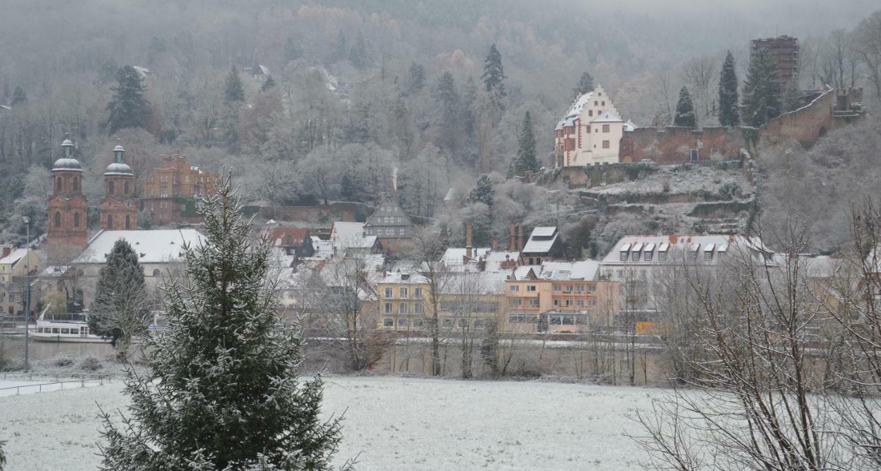 Panorama-Blick Miltenberg, 3 Pers., Zentr., Am Main, Terrasse, Bootverleih, P Экстерьер фото