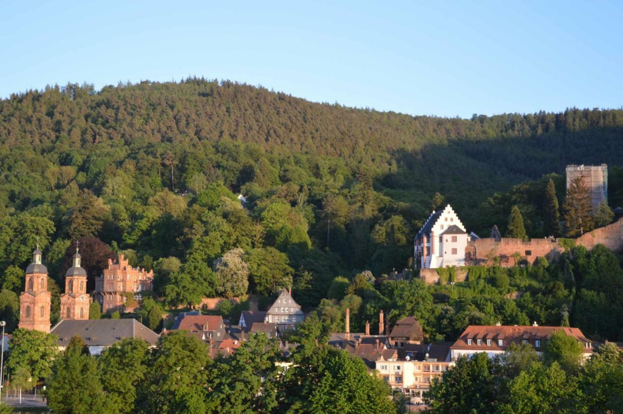 Panorama-Blick Miltenberg, 3 Pers., Zentr., Am Main, Terrasse, Bootverleih, P Экстерьер фото