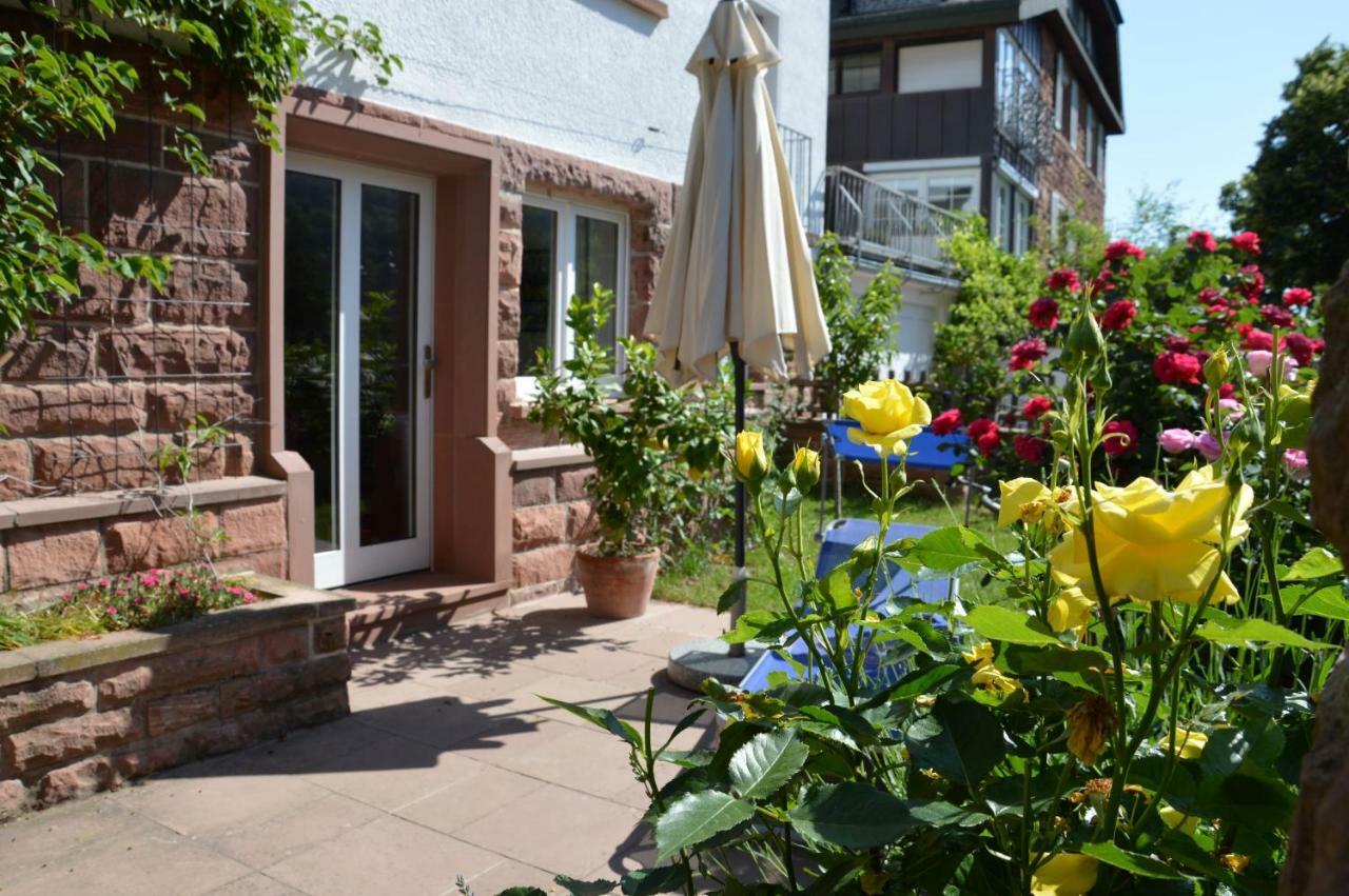Panorama-Blick Miltenberg, 3 Pers., Zentr., Am Main, Terrasse, Bootverleih, P Экстерьер фото